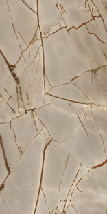 Casa Dolce Casa Nature Mood Rainforest Glossy 6mm 120x240 R