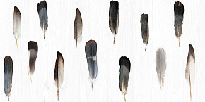 Vallelunga Decorandum Pluma 50x100
