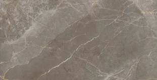 Atlas Concorde Russia Allure Grey Beauty Lap 60x120