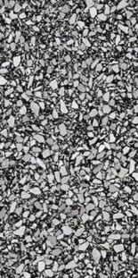 Casalgrande Padana Terrazzo Black 37,5х75,5