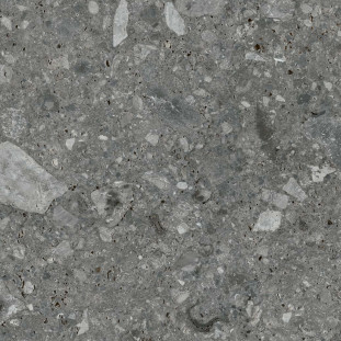 Energieker Ceppo di Gre Anthracite 60X60