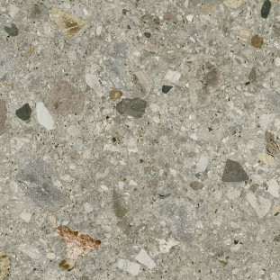 Energieker Ceppo di Gre Multicolor 60X60