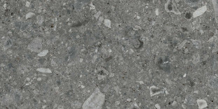 Energieker Ceppo di Gre Anthracite 60X120