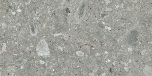 Energieker Ceppo di Gre Grey 60X120