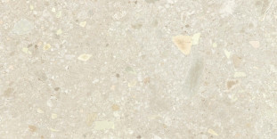 Energieker Ceppo di Gre Ivory 60X120