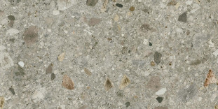 Energieker Ceppo di Gre Multicolor 60X120