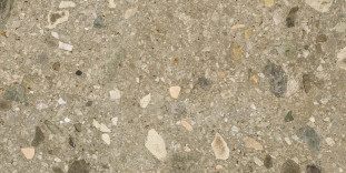 Energieker Ceppo di Gre Warm 60X120