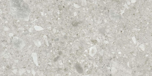 Energieker Ceppo di Gre White 60X120