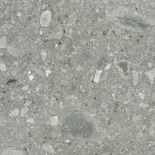 Energieker Ceppo di Gre Grey 120X120