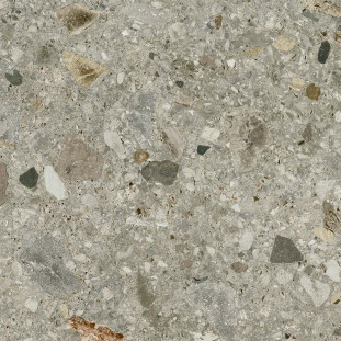 Energieker Ceppo di Gre Multicolor 120X120