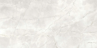 Energieker Amani Pearl 60X120