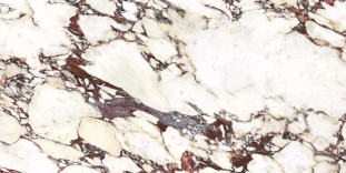 Energieker Calacatta Viola Calacatta Viola 60X120