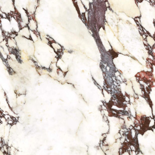 Energieker Calacatta Viola Calacatta Viola 120X120