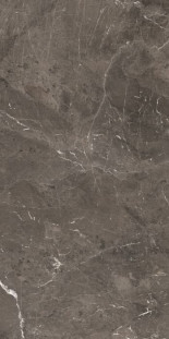 Rex Ceramiche Heritage luxe Brown Glossy 6mm 120x240 Ret