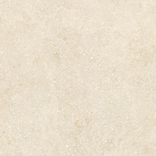 Rex Ceramiche Authentic luxe Stone Mont Rusticedge 60x60 Matte Leather