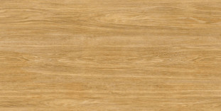 Idalgo Wood Classic Honey Mild LMR 60x120
