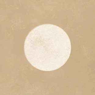 Keope Cotto Milano Creta Archetipo 20x20