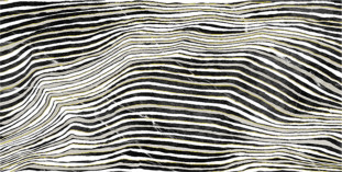 La Bottega del Decoro Zebra Zebra 60x120