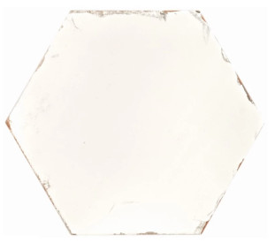 Monopole Studio Ivory 20x24