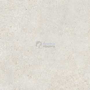 Refin Mold Mist R 60x60