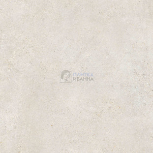 Refin Mold Mist R 120x120