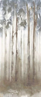 Fondovalle Dream Dream Woods Nat.120x278