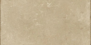 Energieker Pietra del Salento Noce 20x40