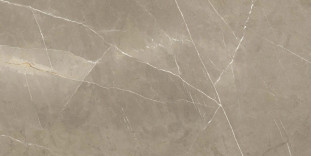 Energieker Pietragrey Taupe 60X120