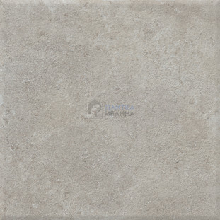 Refin Coquille Champagne R Out2.0 60x60