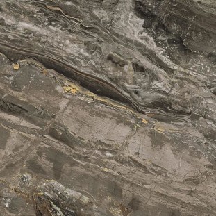 Rex Ceramiche Prexious Dream Arabesque Matte 60x60