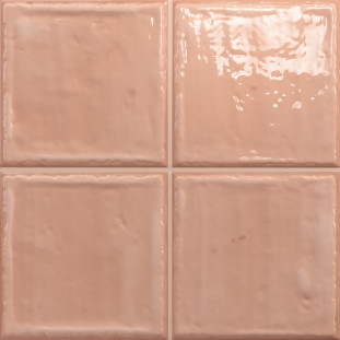 Absolut Keramika Noa Coral 20x20