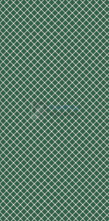 Refin Upside Green R 60x120