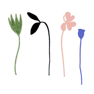 41zero42 Stories Caravan Matte 10x10