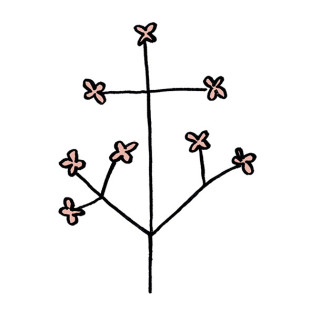 41zero42 Stories Caravan Matte 10x10