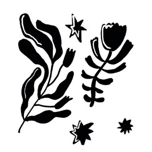 41zero42 Stories Caravan Lux 10x10