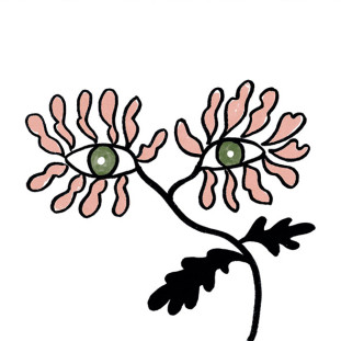 41zero42 Stories Caravan Lux 10x10