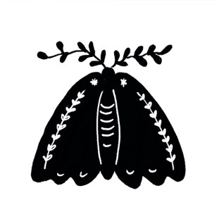 41zero42 Stories Caravan Matte 10x10