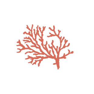 41zero42 Stories Costiera Matte 10x10