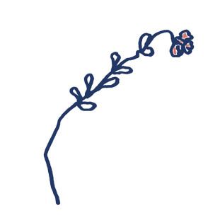 41zero42 Stories Costiera Matte 10x10