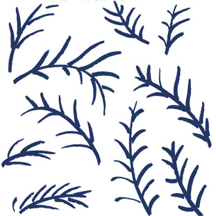 41zero42 Stories Costiera Matte 10x10