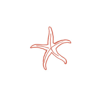 41zero42 Stories Costiera Lux 10x10