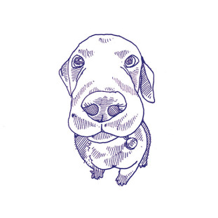 41zero42 Stories Eddie Matte 10x10