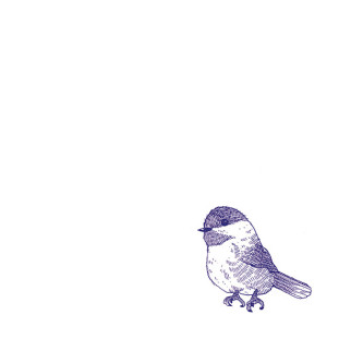 41zero42 Stories Eddie Lux 10x10