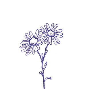 41zero42 Stories Eddie Matte 10x10