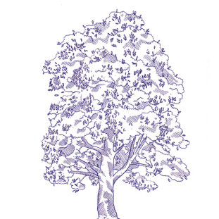 41zero42 Stories Eddie Lux 10x10