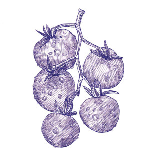 41zero42 Stories Eddie Matte 10x10