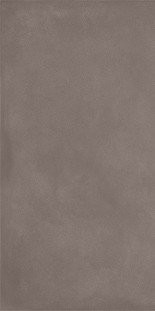 Casalgrande Padana Terrae Tabacco Naturale 120x278