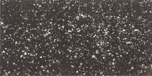 Casalgrande Padana Terrazzotech Nero 120x60