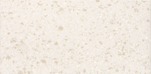 Casalgrande Padana Terrazzotech Beige 120x60