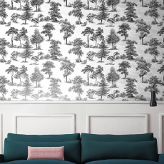 Decorandum